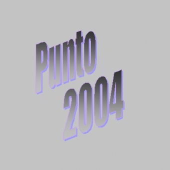 images/categorieimages/punto-2004.jpg