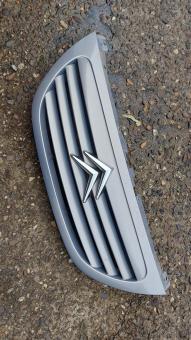Voorgril Citroen C3 uit 2004
