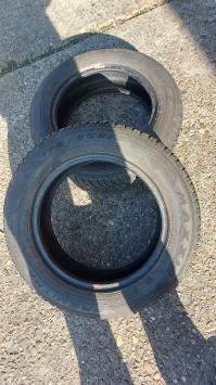 2 stuks 14 inch All Seasons, Premitra Maxxis