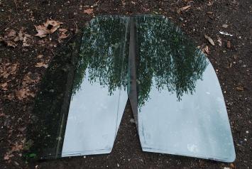 Set ruiten vd deuren Clio 1999